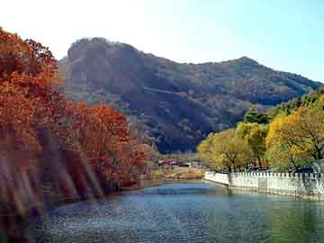 爱上海：Must-visit attractions! Explore Shanghai's Backyard and appreciate the city's green charm!